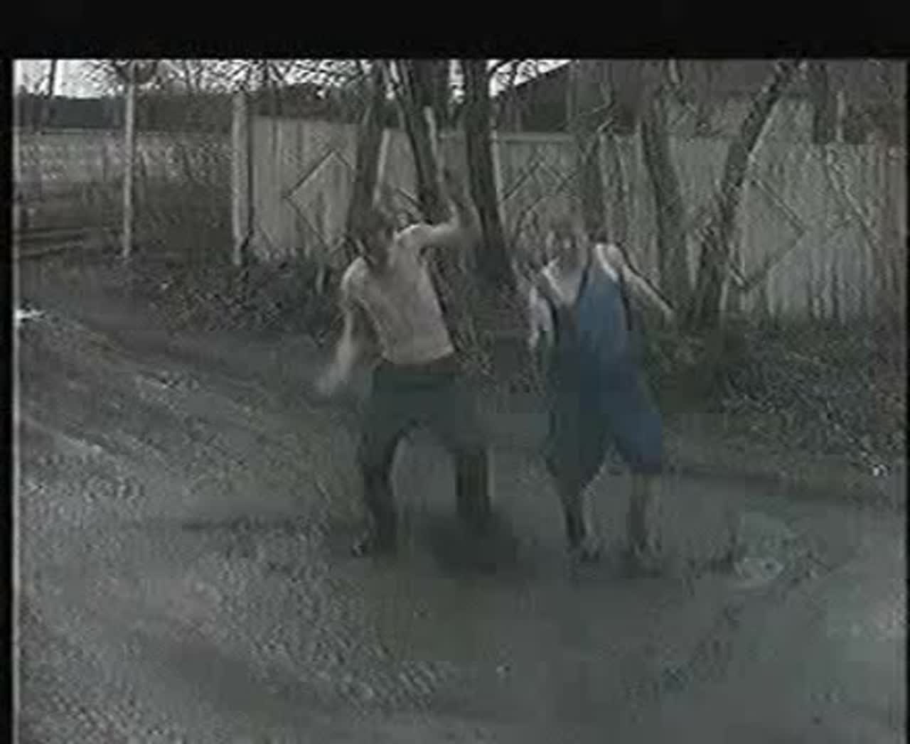 🎹 Хорошо 🍻 в деревне летом... कलाकृति