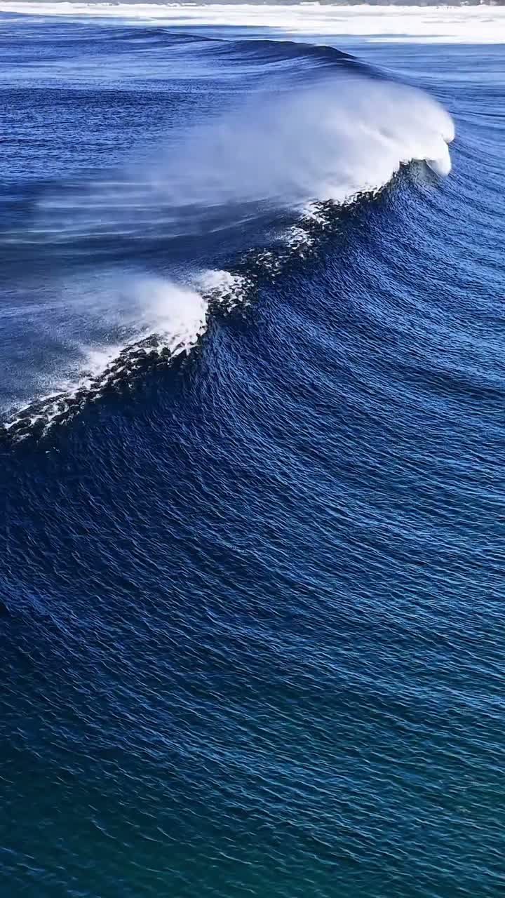 🌊 wave artwork