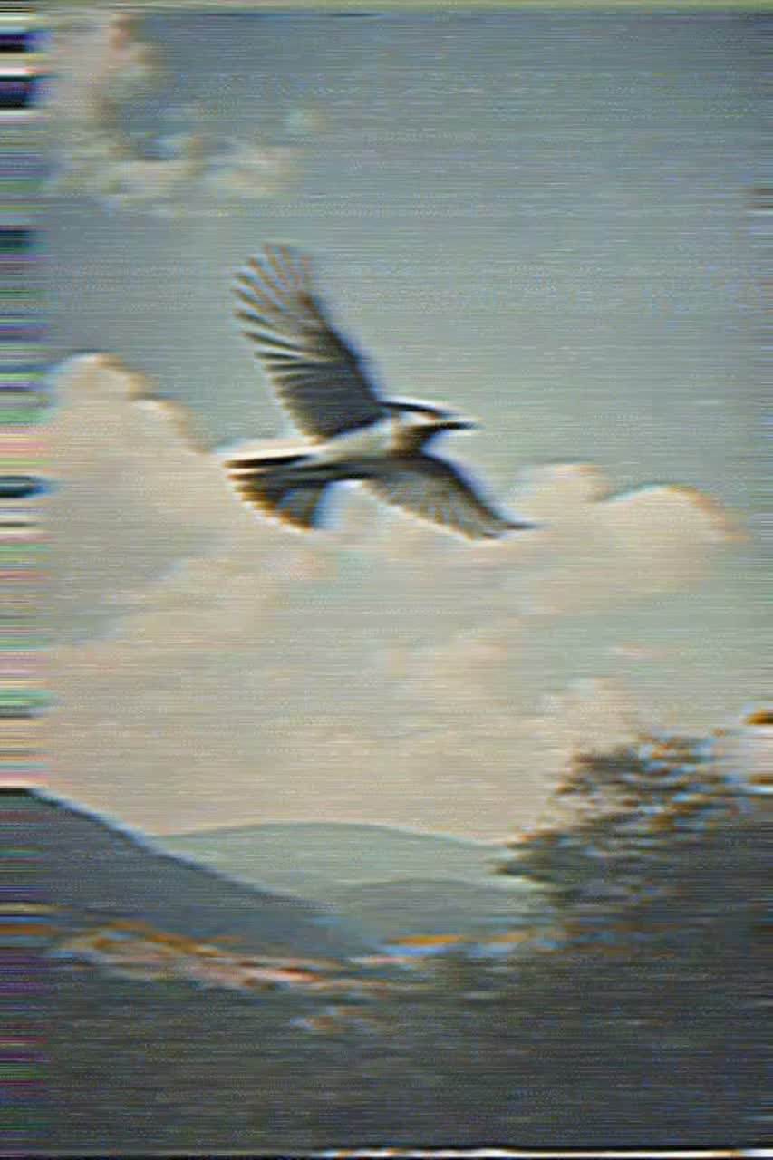 Flying Blue Jay artwork