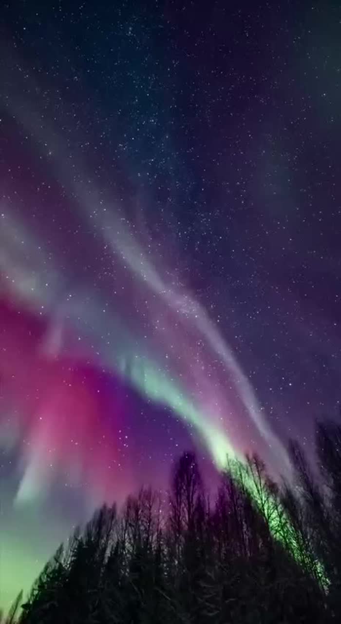 Another Dimension/ A remix of Elucid 33's song "Andromeda". artwork