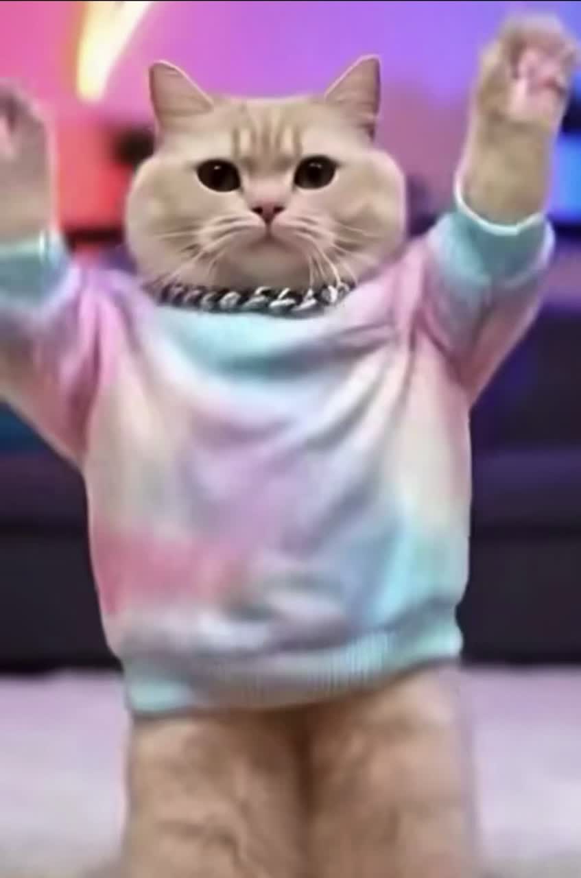 Я не котик, я ракета artwork