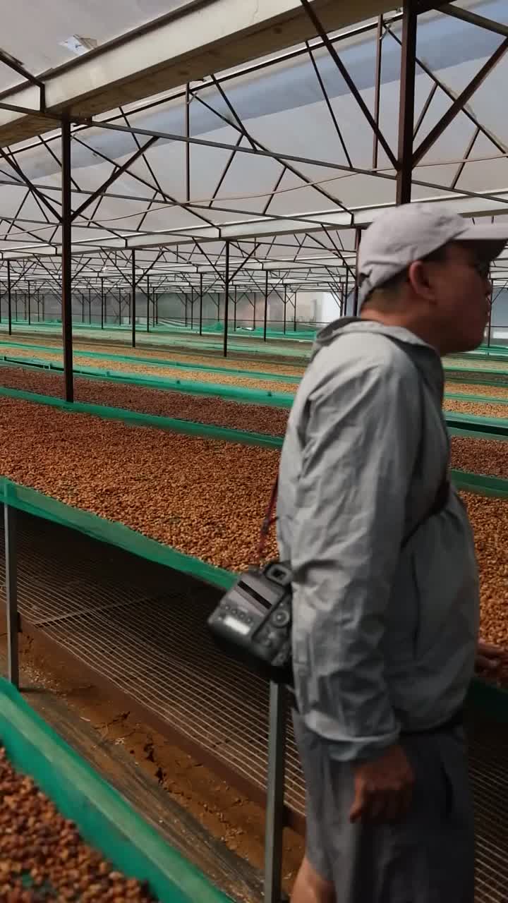 27. Coffee processing basics artwork