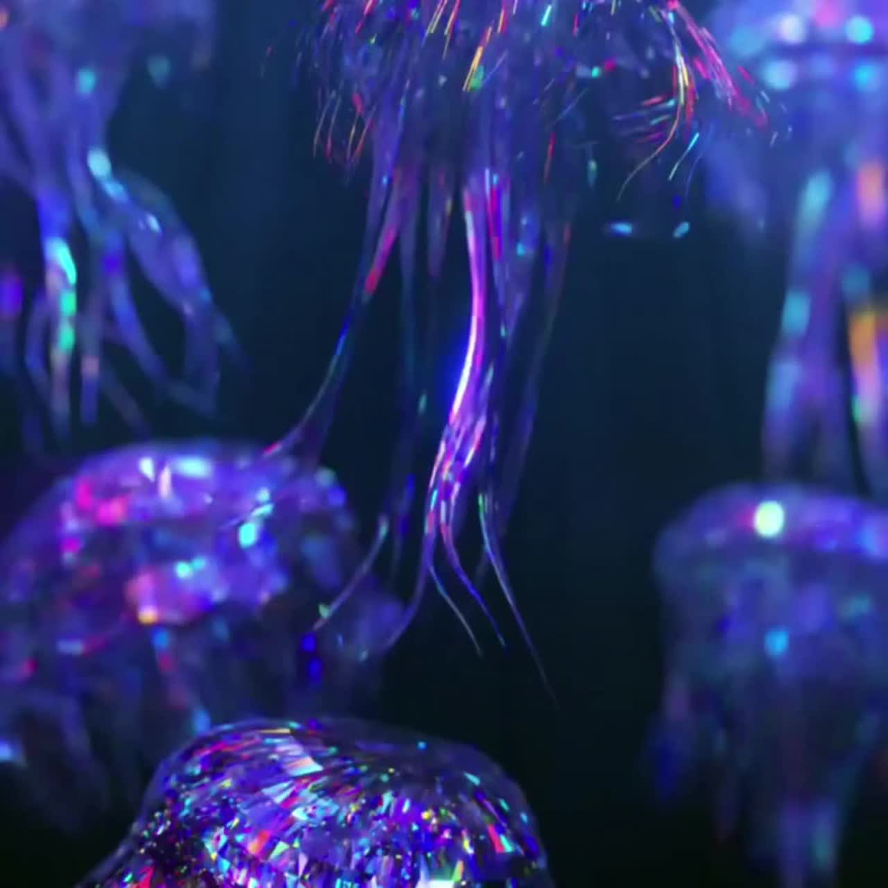 Hartrose - Lively [TENTAKOOLAR RECORDS] artwork
