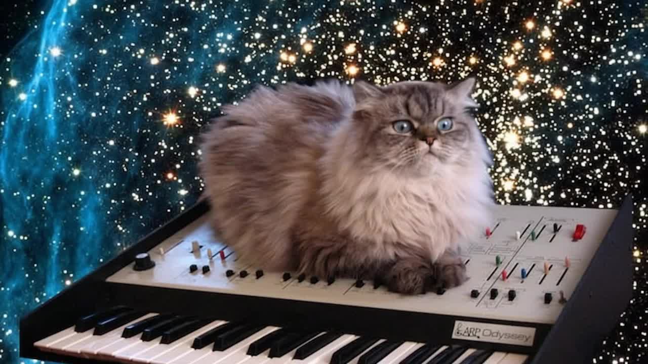 Kitteh in spaec artwork
