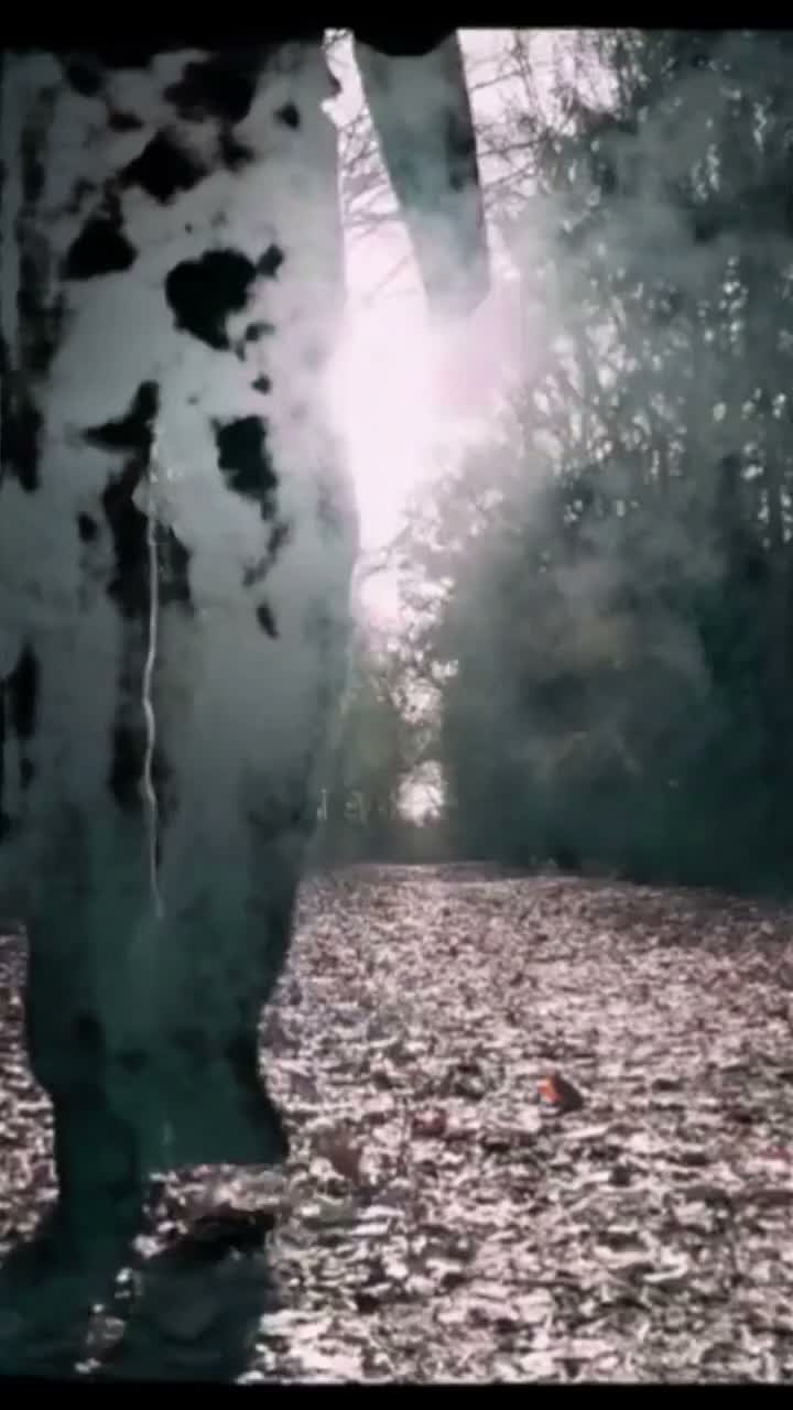 Song Cover Image