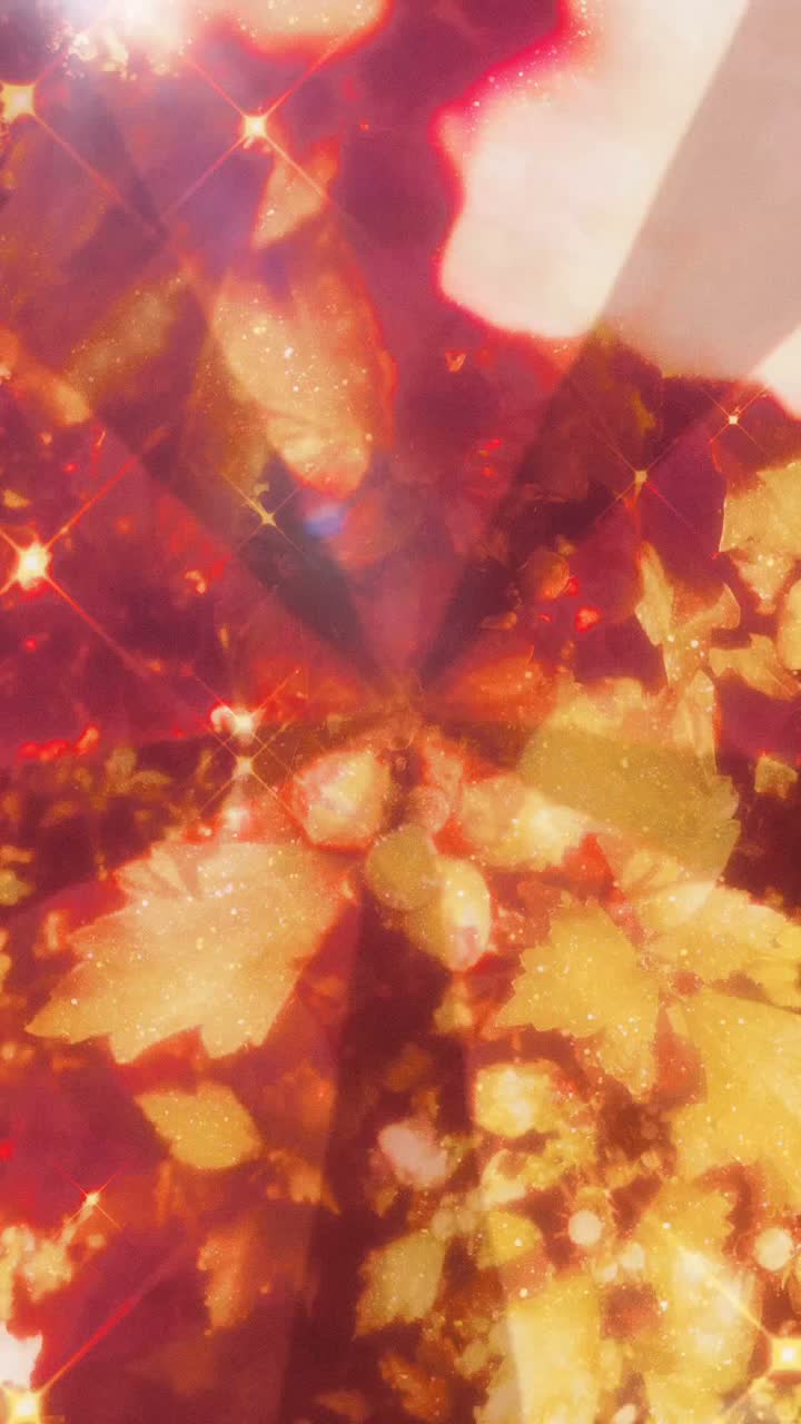 Corpus et anima (Gloria Remix) artwork