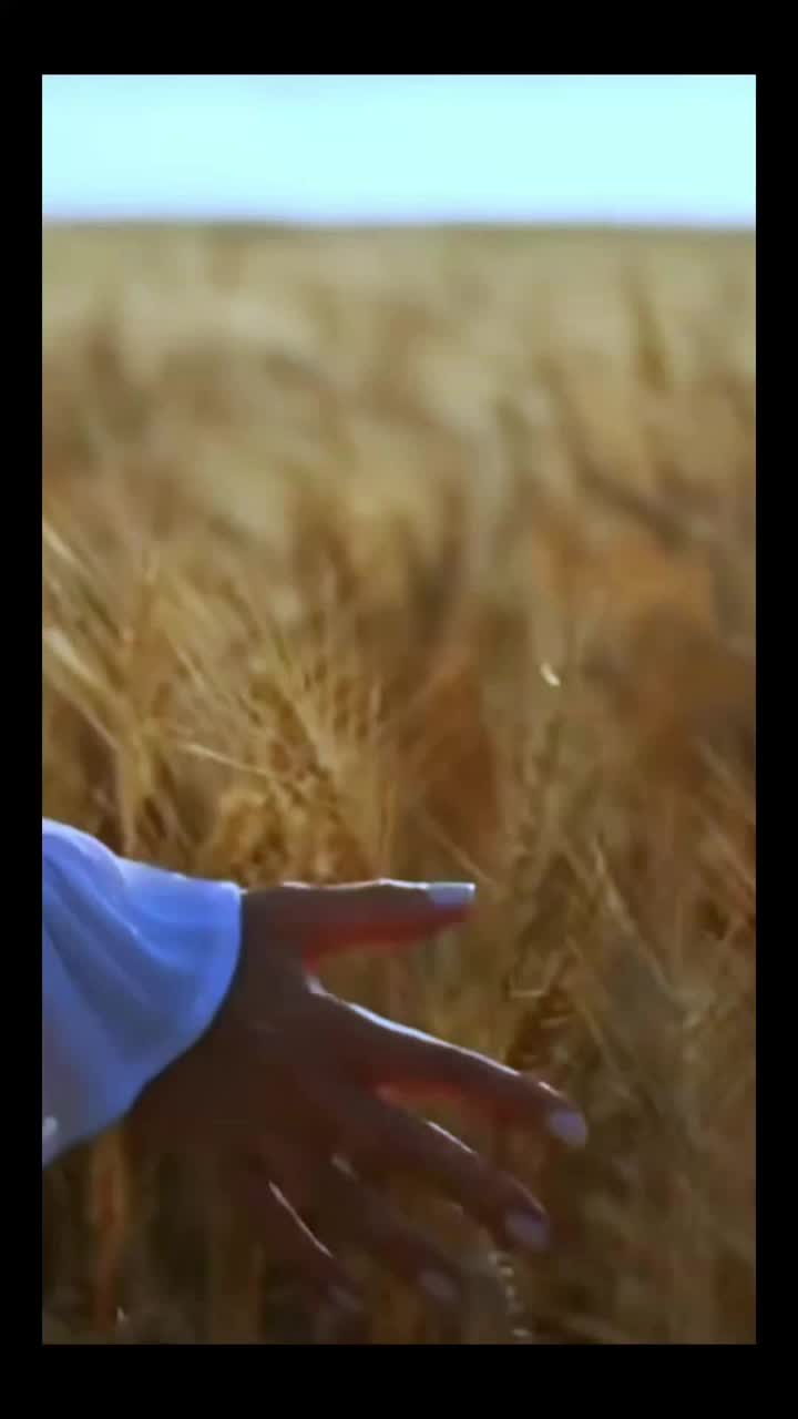 Ой, Красавица моя……. artwork