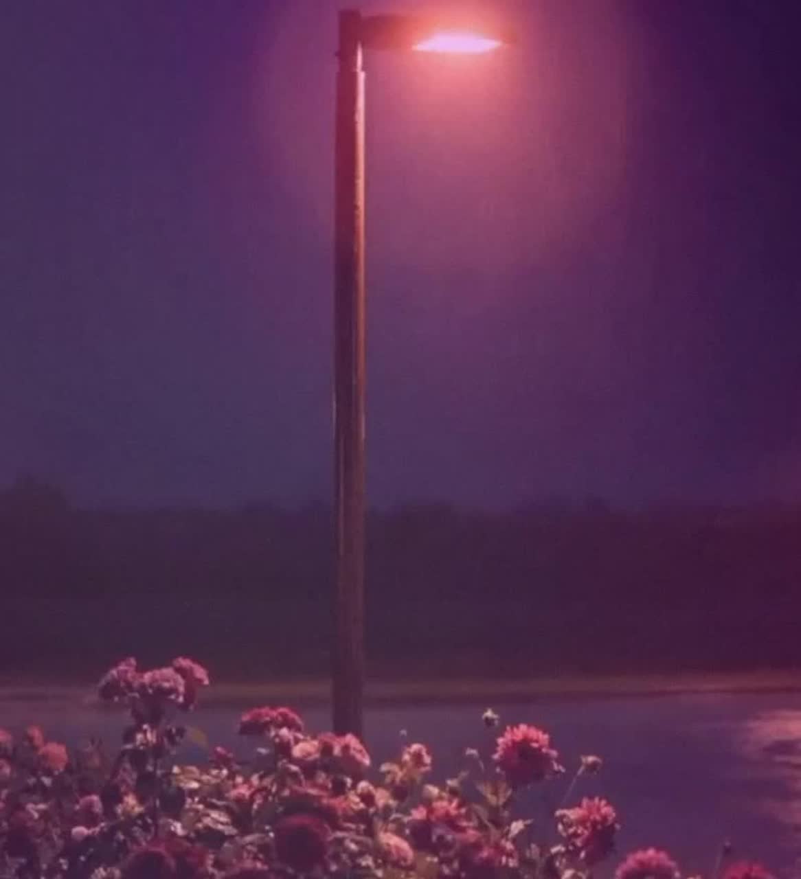 Be Here Anyway artwork