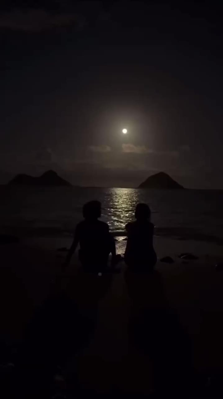 Moi, toi, la mer et elle artwork